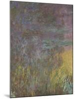 Les Nymph? : Soleil couchant-Claude Monet-Mounted Giclee Print