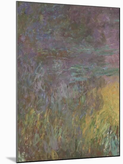 Les Nymph? : Soleil couchant-Claude Monet-Mounted Giclee Print