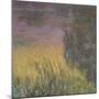 Les Nymph? : Soleil couchant-Claude Monet-Mounted Giclee Print