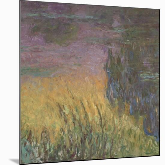 Les Nymph? : Soleil couchant-Claude Monet-Mounted Giclee Print