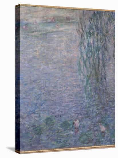 Les Nymphéas : Le Matin clair aux saules-Claude Monet-Stretched Canvas