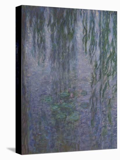 Les Nymphéas : Le Matin clair aux saules-Claude Monet-Stretched Canvas