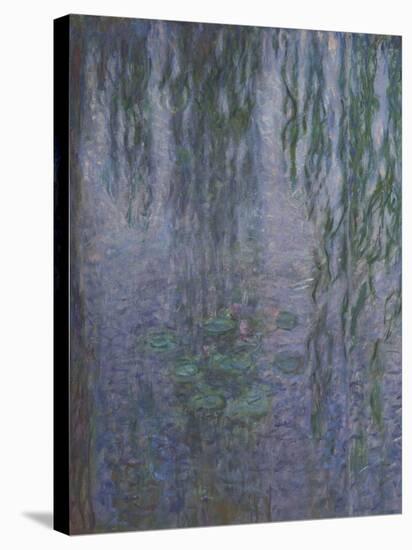 Les Nymphéas : Le Matin clair aux saules-Claude Monet-Stretched Canvas