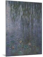 Les Nymphéas : Le Matin clair aux saules-Claude Monet-Mounted Giclee Print