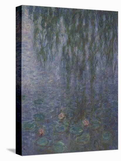Les Nymphéas : Le Matin clair aux saules-Claude Monet-Stretched Canvas