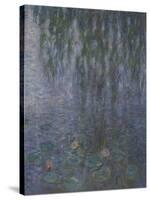 Les Nymphéas : Le Matin clair aux saules-Claude Monet-Stretched Canvas