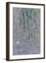 Les Nymphéas : Les Deux saules-Claude Monet-Framed Giclee Print