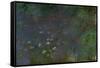 Les Nympheas: matin (Water lillies: morning)-Claude Monet-Framed Stretched Canvas