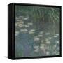 Les Nymphéas : Matin-Claude Monet-Framed Stretched Canvas