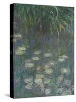 Les Nymphéas : Matin-Claude Monet-Stretched Canvas