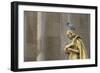 Les Oiseaux Statue-Cora Niele-Framed Giclee Print