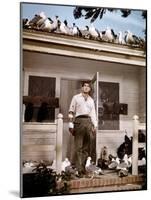 Les Oiseaux THE BIRDS d'Alfred Hitchcock with Rod Taylor, 1963 (photo)-null-Mounted Photo