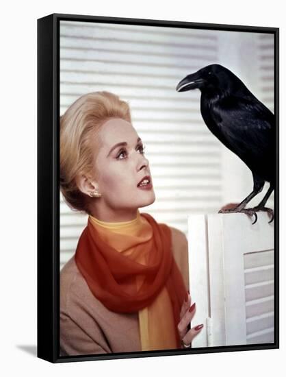 Les Oiseaux THE BIRDS d'Alfred Hitchcock with Tippi Hedren, 1963 (photo)-null-Framed Stretched Canvas