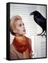 Les Oiseaux THE BIRDS d'Alfred Hitchcock with Tippi Hedren, 1963 (photo)-null-Framed Stretched Canvas