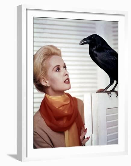 Les Oiseaux THE BIRDS d'Alfred Hitchcock with Tippi Hedren, 1963 (photo)-null-Framed Photo