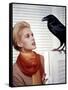 Les Oiseaux THE BIRDS d'Alfred Hitchcock with Tippi Hedren, 1963 (photo)-null-Framed Stretched Canvas