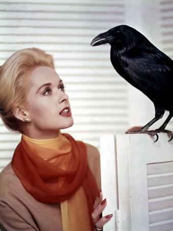 https://imgc.allpostersimages.com/img/posters/les-oiseaux-the-birds-d-alfred-hitchcock-with-tippi-hedren-1963-photo_u-L-Q1C1IUM0.jpg?artPerspective=n