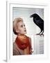 Les Oiseaux THE BIRDS d'Alfred Hitchcock with Tippi Hedren, 1963 (photo)-null-Framed Photo