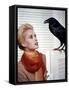 Les Oiseaux THE BIRDS d'Alfred Hitchcock with Tippi Hedren, 1963 (photo)-null-Framed Stretched Canvas