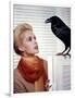 Les Oiseaux THE BIRDS d'Alfred Hitchcock with Tippi Hedren, 1963 (photo)-null-Framed Photo