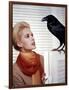 Les Oiseaux THE BIRDS d'Alfred Hitchcock with Tippi Hedren, 1963 (photo)-null-Framed Photo