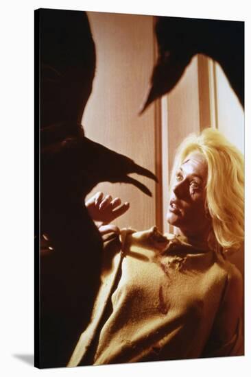 Les Oiseaux THE BIRDS d'Alfred Hitchcock with Tippi Hedren, 1963 (photo)-null-Stretched Canvas