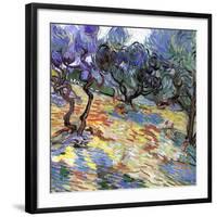 Les oliviers-Vincent van Gogh-Framed Art Print