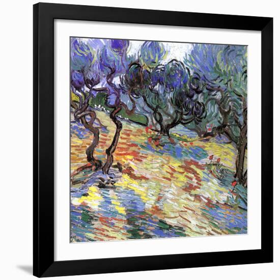 Les oliviers-Vincent van Gogh-Framed Art Print