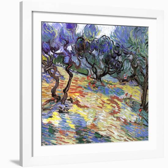 Les oliviers-Vincent van Gogh-Framed Art Print