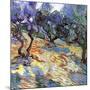 Les oliviers-Vincent van Gogh-Mounted Art Print