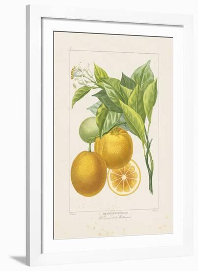 Les Oranges I-A^ Poiteau-Framed Giclee Print