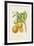 Les Oranges I-A^ Poiteau-Framed Giclee Print