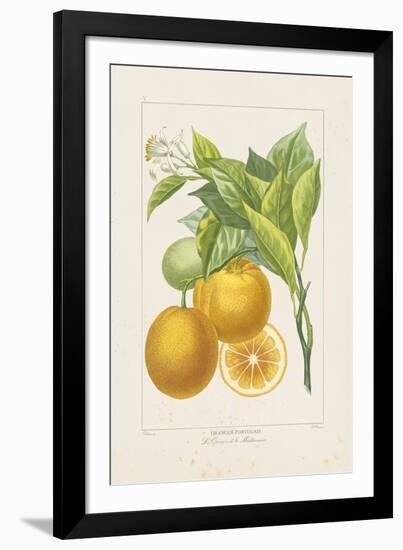 Les Oranges I-A^ Poiteau-Framed Giclee Print