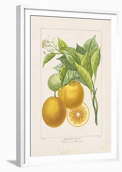 Les Oranges I-A^ Poiteau-Framed Giclee Print