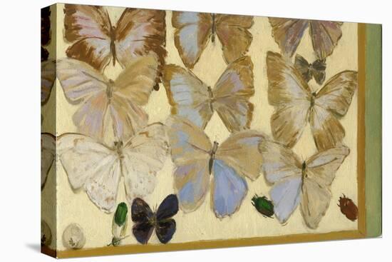 Les Papillons de N.C., 2006-Delphine D. Garcia-Stretched Canvas