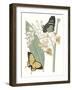 Les Papillons I-null-Framed Art Print