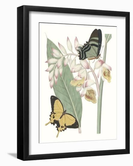 Les Papillons I-null-Framed Art Print