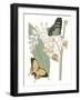 Les Papillons I-null-Framed Art Print