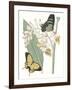 Les Papillons I-null-Framed Art Print