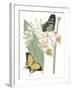 Les Papillons I-null-Framed Art Print