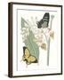 Les Papillons I-null-Framed Art Print