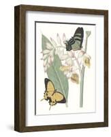 Les Papillons I-null-Framed Art Print