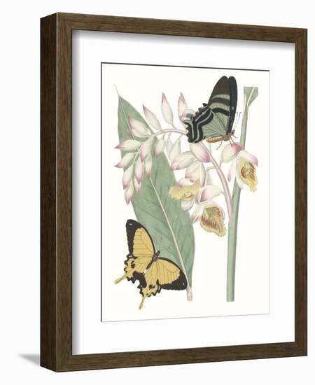 Les Papillons I-null-Framed Art Print