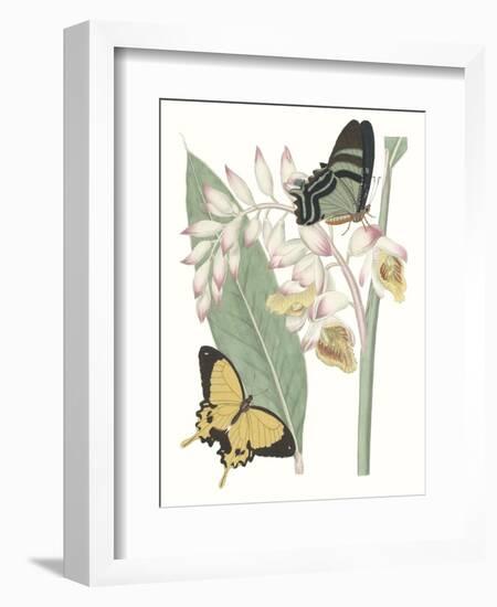 Les Papillons I-null-Framed Art Print