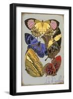 Les Papillons Multicolor-null-Framed Giclee Print