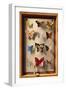 Les Papillons No, 1931 (Oil on Canvas)-Pierre Roy-Framed Giclee Print