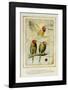 Les Perroquets Flamboyants-Pascal Cessou-Framed Art Print