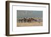 Les Petits Cheveaux, Beau Temps-Andre Hambourg-Framed Premium Giclee Print