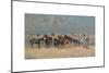 Les Petits Cheveaux, Beau Temps-Andre Hambourg-Mounted Premium Giclee Print