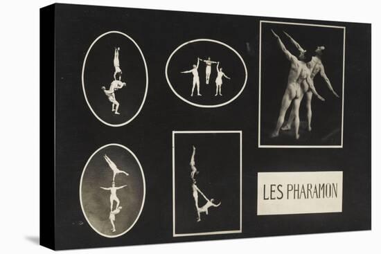 Les Pharamon-null-Stretched Canvas